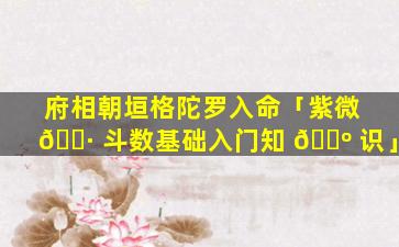 府相朝垣格陀罗入命「紫微 🌷 斗数基础入门知 🐺 识」